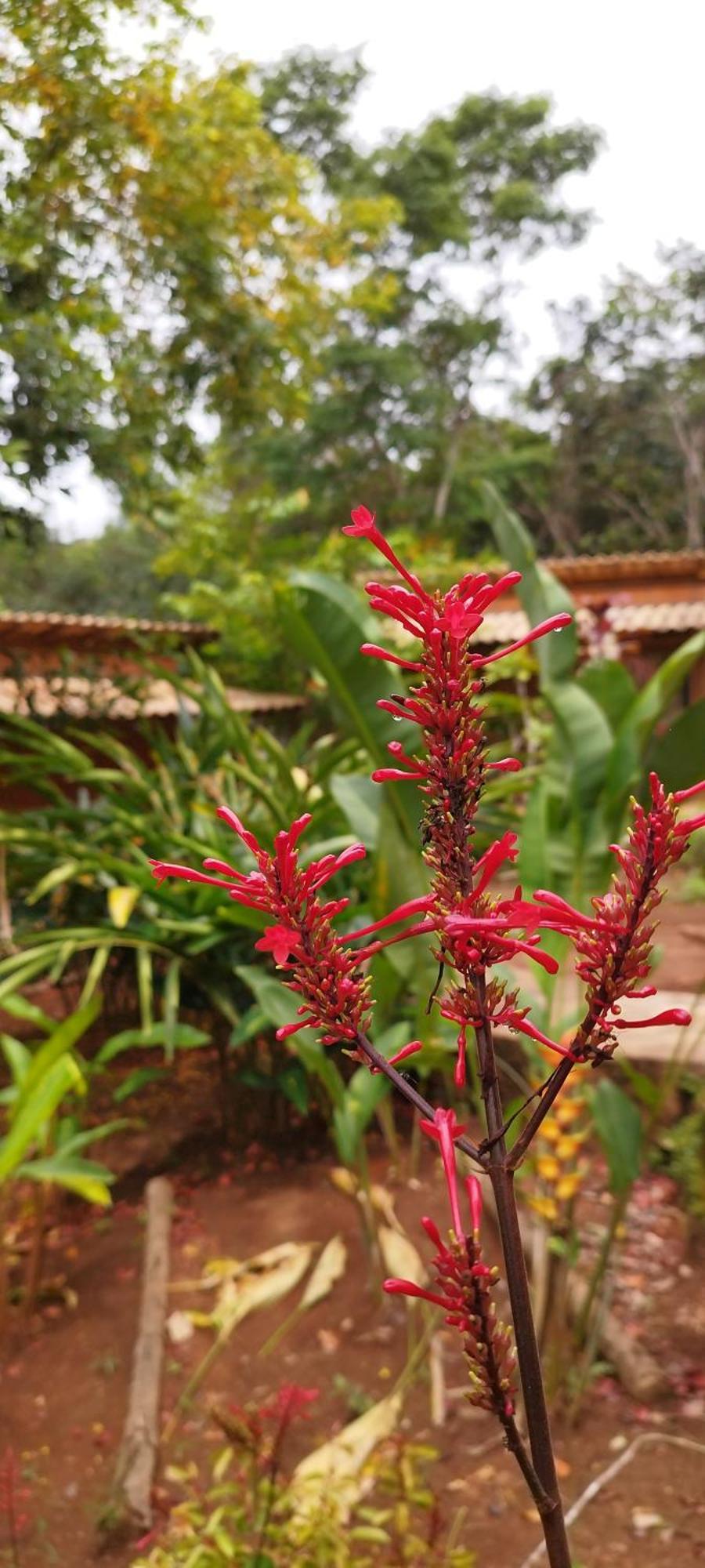 Pousada Luar Do Sertao Lencois Buitenkant foto