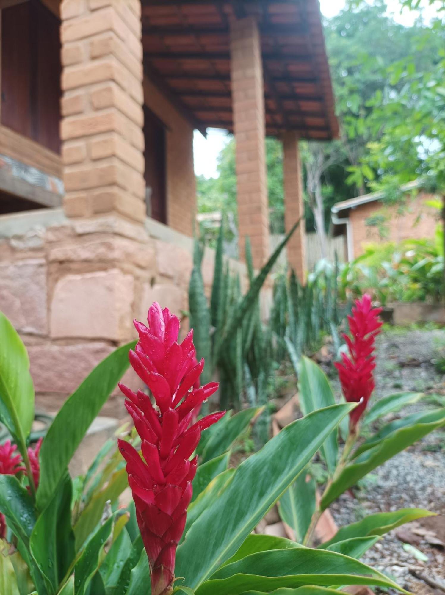 Pousada Luar Do Sertao Lencois Buitenkant foto
